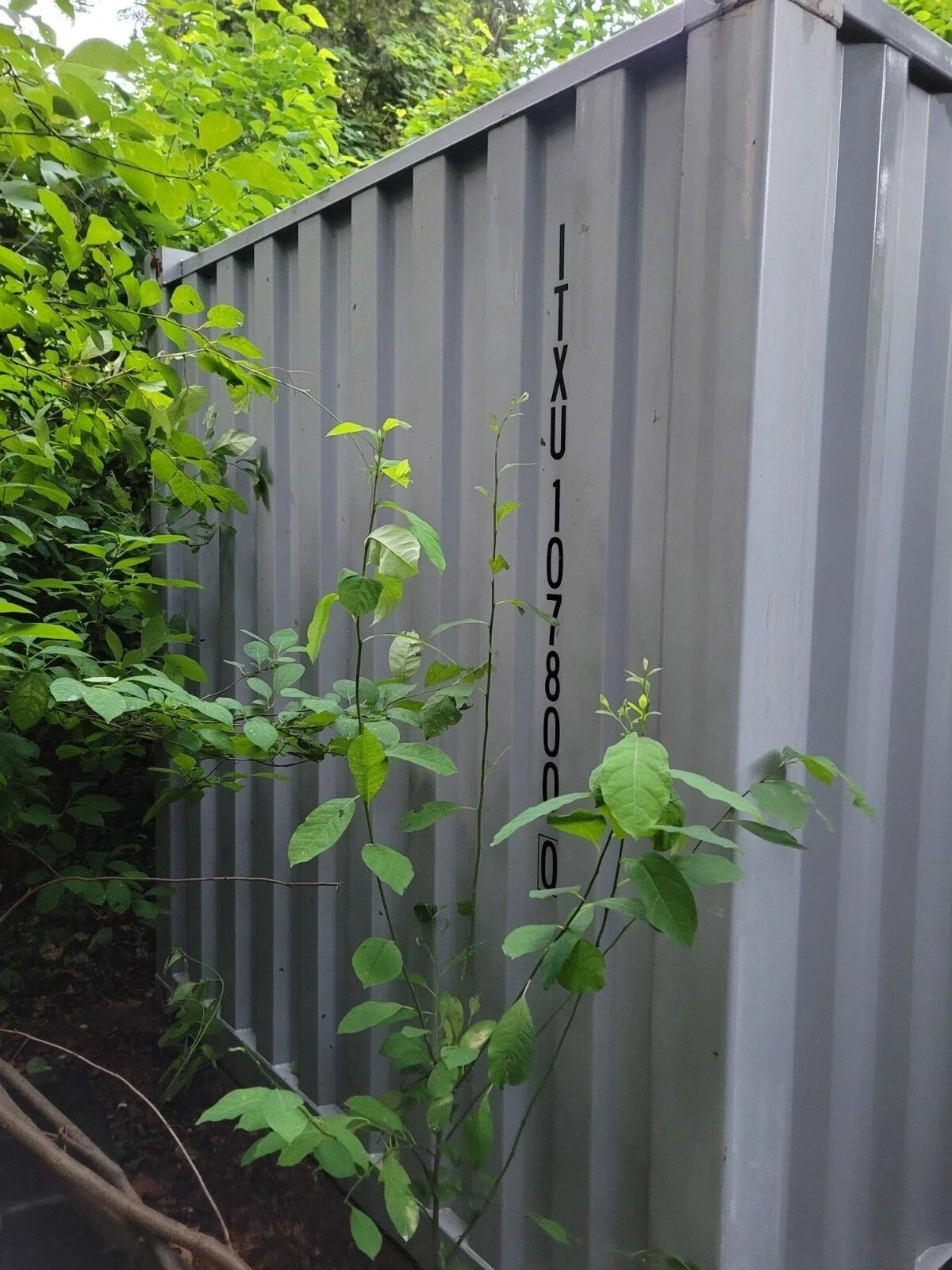 20Ft Steel Shipping Container for Sale - photo 3